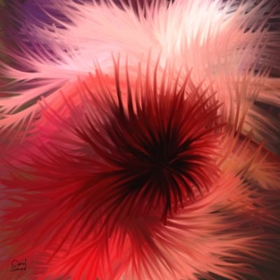 Spirale di luce e colore da Carol Sousa Cuello
