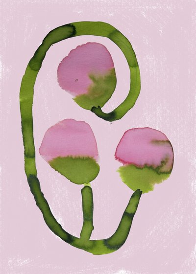 Raffigurazioni astratte di fiori rosa da Carola Cedell