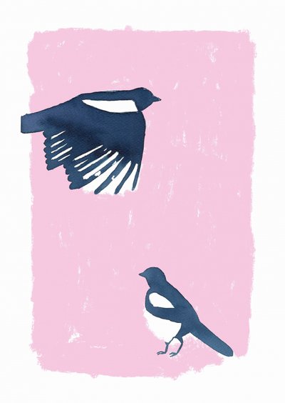 Pink Sky Magpies da Carola Cedell