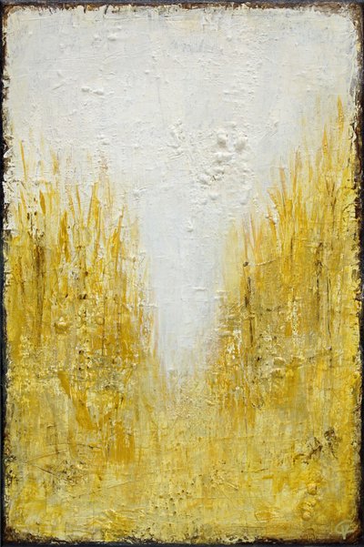 Luce del campo dorato da Carolina Gårdheim