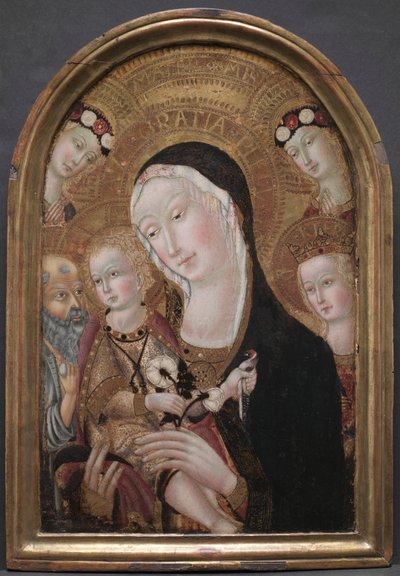 Vergine e Bambino con San Girolamo e Santa Caterina d