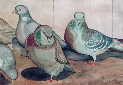 Piccioni da Carolyn Hubbard Ford
