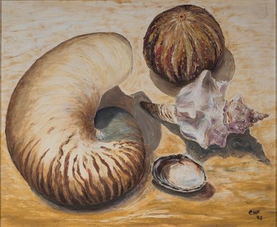 Conchiglie da Carolyn Hubbard Ford