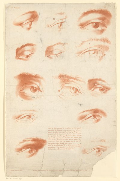 Tredici studi di occhi da Carré