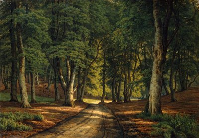 Paesaggio boscoso con cervi da Carsten Henrichsen