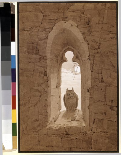 Civetta in una finestra gotica da Caspar David Friedrich
