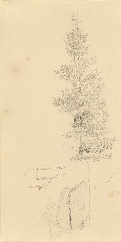 Tedesco: Studie mit Fichten und Felsen Studio di abeti rossi e di una roccia da Caspar David Friedrich