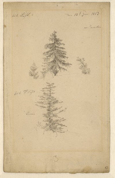 Tedesco: Zwei Tannenstudien Due studi sugli abeti da Caspar David Friedrich