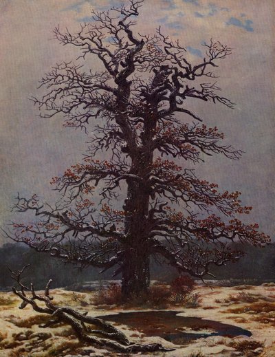 Quercia nella neve da Caspar David Friedrich