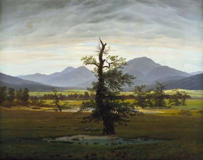 Albero solitario Paesaggio di villaggio alla luce del mattino, 1822 da Caspar David Friedrich