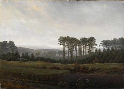 Le ore del giorno: Il pomeriggio da Caspar David Friedrich
