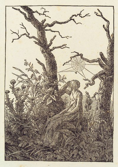 La donna con la ragnatela da Caspar David Friedrich