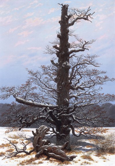  da Caspar David Friedrich