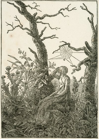 Donna con tela di ragno tra alberi spogli da Caspar David Friedrich