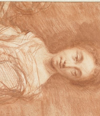 Ritratto di una giovane donna sconosciuta, a mezzo busto da Caspar Netscher