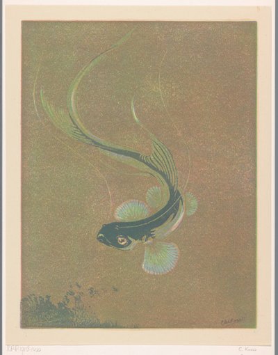 Pesce che nuota da Casper M.L. Kouw (signed by artist)
