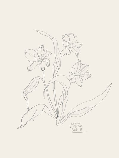 Elegante disegno floreale in stile line art da Catalina Somolinos