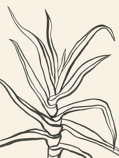 Schema minimalista delle piante da Catalina Somolinos