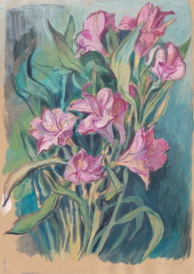 Fiori rosa vivaci da Catalina Somolinos