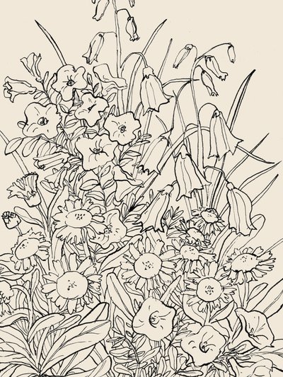 Fiori selvatici da Catalina Somolinos