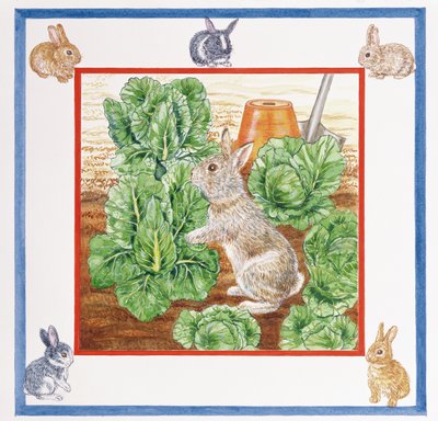 Un Coniglio nel Campo di Cavoli da Catherine Bradbury