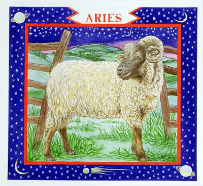 Ariete da Catherine Bradbury