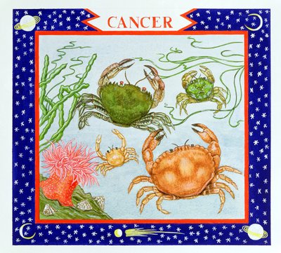 Cancro da Catherine Bradbury