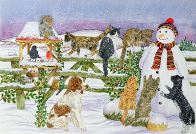Il pupazzo di neve e i suoi amici da Catherine Bradbury