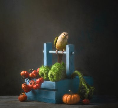 Natura morta autunnale con pappagallo da Catherine Wang