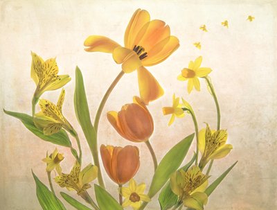 Fiori d
