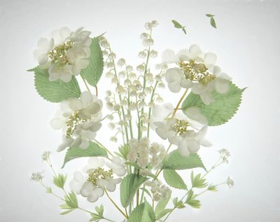 Bouquet "White Lily Valley" da Catherine Wang