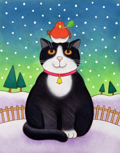 Gatto con Pettirosso da Cathy Baxter