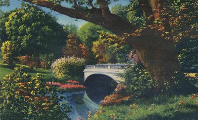 Ponte n. 5, Parco Cherokee, 1942 da Caufield and Shook
