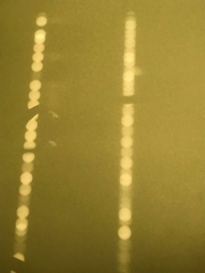 Composizione - Luce, 2019 (foto) da Cécile Jamet