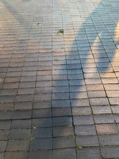 Composizione - Luce, 2021 (foto) da Cécile Jamet