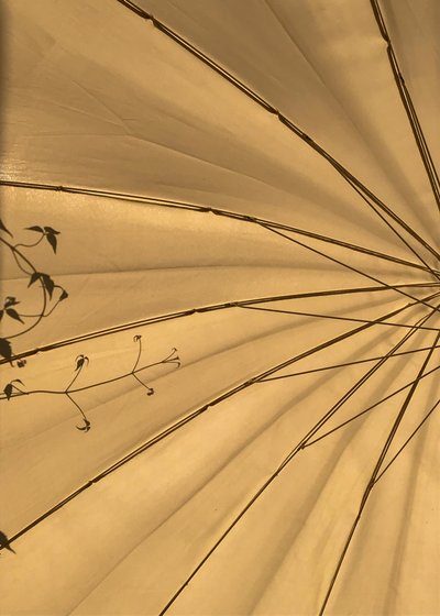 Composizione - Luci, 2020 (foto) da Cécile Jamet