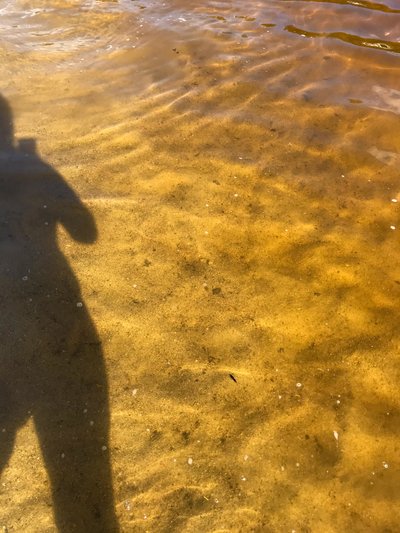 Composizione - Luci, 2020 (foto) da Cécile Jamet
