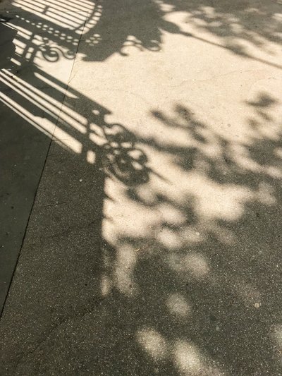 Composizione - Ombre, 2019 (foto) da Cécile Jamet
