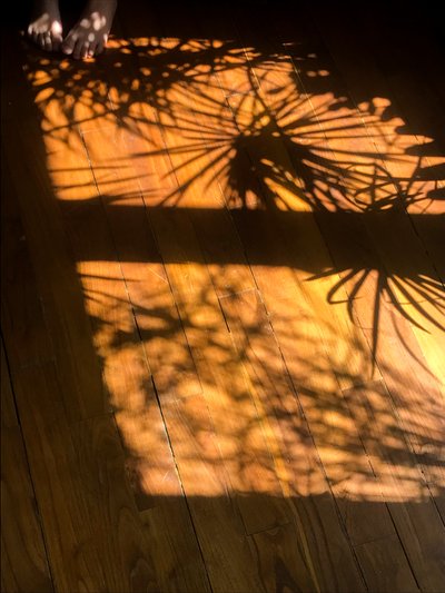 Composizione - Ombre, 2019 (foto) da Cécile Jamet