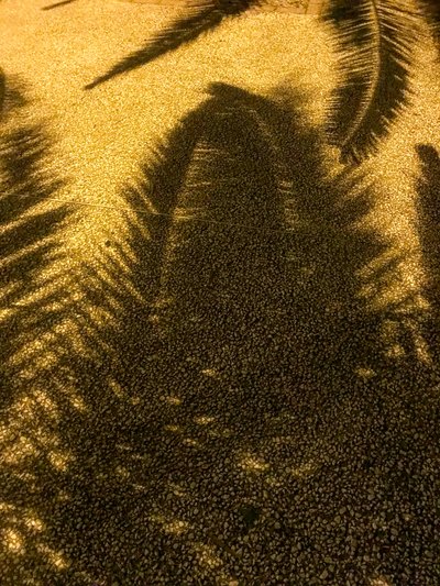 Composizione - Ombre, 2021 (foto) da Cécile Jamet