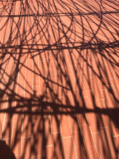Composizione - Ombre, 2021 (foto) da Cécile Jamet