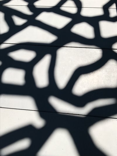 Composizione - Ombre, 2021 (foto) da Cécile Jamet