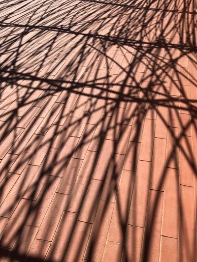 Composizione - Ombre, 2021 (foto) da Cécile Jamet