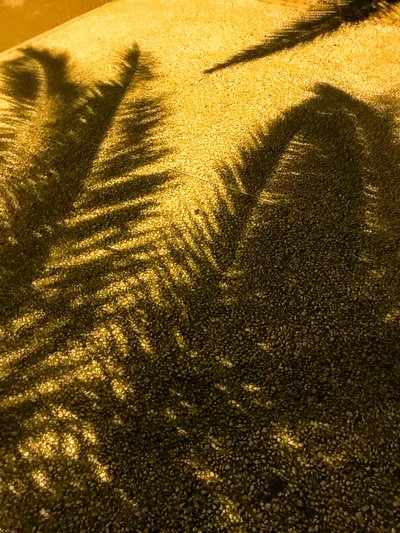 Composizione - Ombre, 2021 (foto) da Cécile Jamet