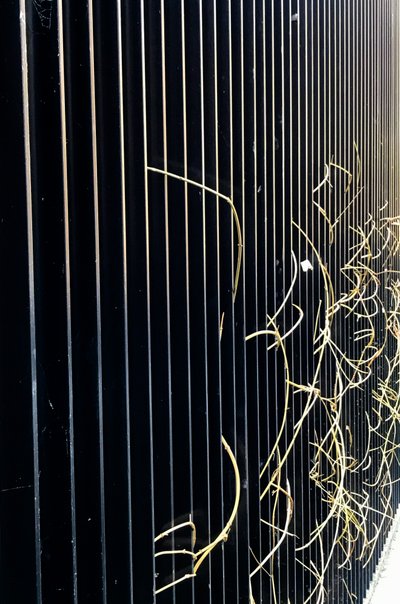 Composizione - Strada, 2020 (foto) da Cécile Jamet