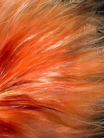 Composizione - Texture, 2019 (foto) da Cécile Jamet