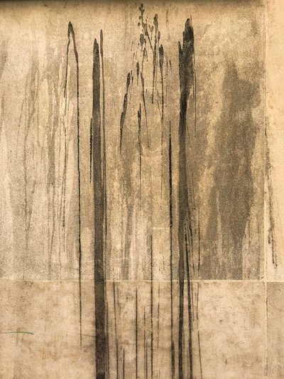 Composizione - Struttura, 2020 (foto) da Cécile Jamet