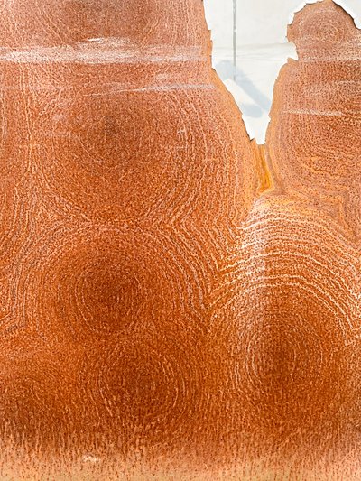 Composizione - Texture, 2023 (foto) da Cécile Jamet