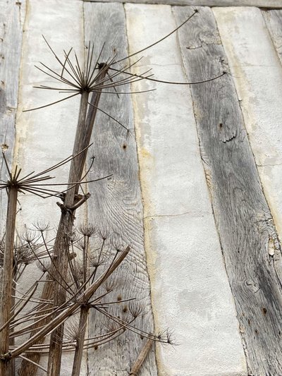 Composizione, Architettura 2022 (foto) da Cécile Jamet
