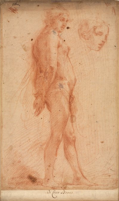 Studio di un nudo maschile in piedi, con uno studio della testa in profilo a tre quarti, c. 1640 da Cecco Bravo